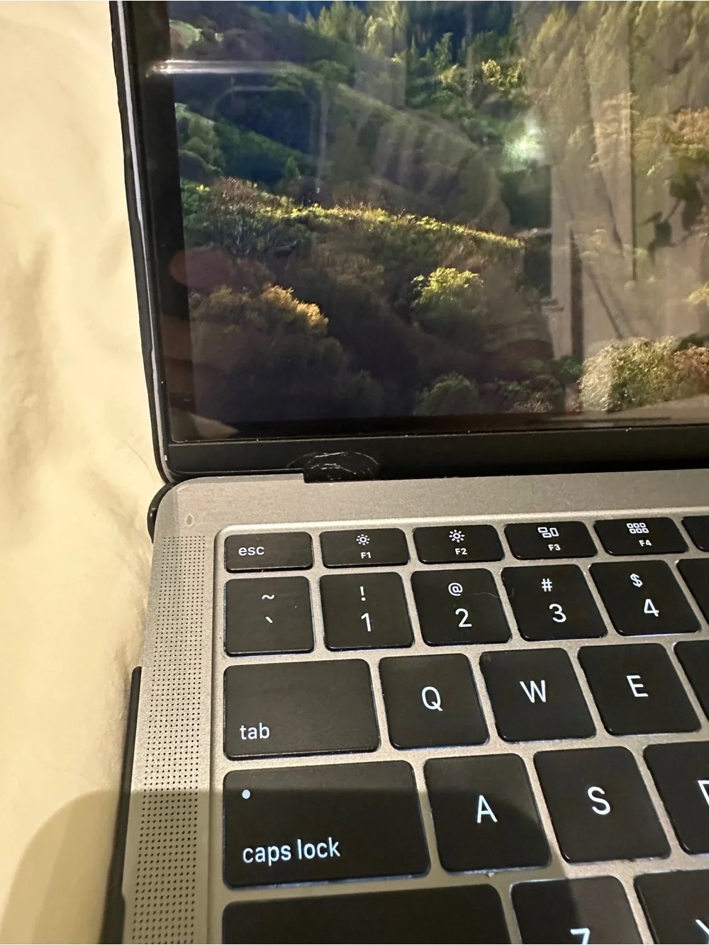 Apple Black MacBook with Touch ID